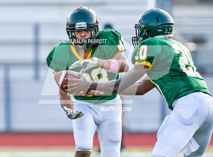 Thumbnail 2 in Klein Oak vs Klein Forest  photogallery.