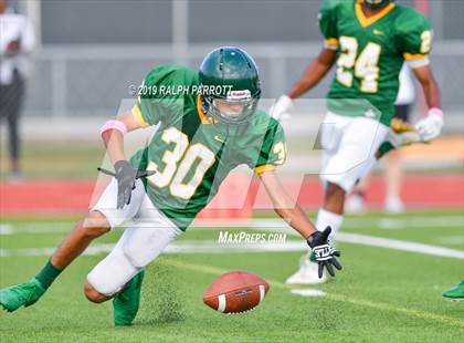 Thumbnail 1 in Klein Oak vs Klein Forest  photogallery.