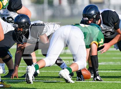 Thumbnail 1 in Klein Oak vs Klein Forest  photogallery.