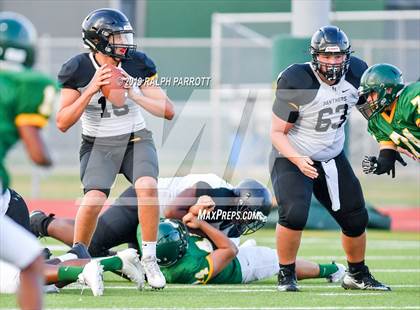 Thumbnail 1 in Klein Oak vs Klein Forest  photogallery.