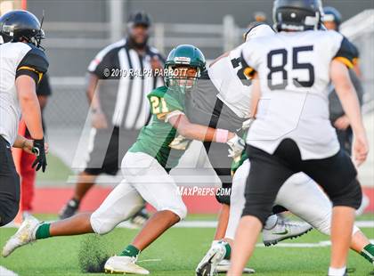 Thumbnail 1 in Klein Oak vs Klein Forest  photogallery.