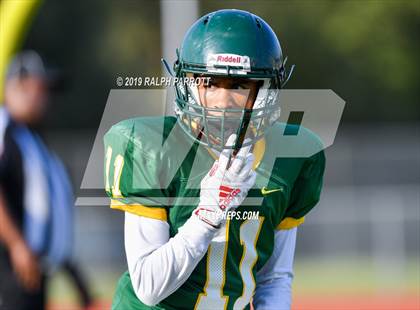 Thumbnail 1 in Klein Oak vs Klein Forest  photogallery.