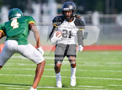 Thumbnail 3 in Klein Oak vs Klein Forest  photogallery.