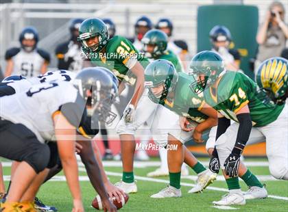 Thumbnail 3 in Klein Oak vs Klein Forest  photogallery.