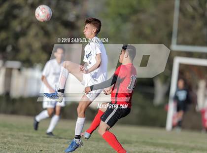 Thumbnail 2 in Marshall @ Arleta photogallery.
