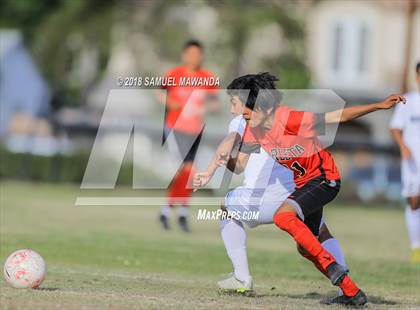 Thumbnail 2 in Marshall @ Arleta photogallery.