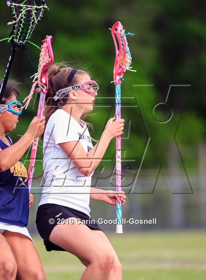 Thumbnail 1 in Conley @ Havelock photogallery.