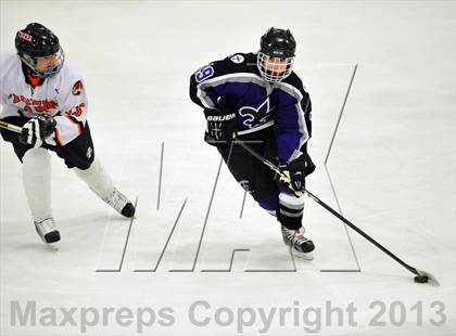 Thumbnail 2 in White Plains vs New Rochelle (Section 1 Division I Quarterfinal) photogallery.