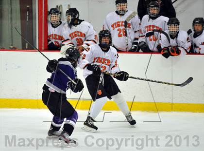 Thumbnail 1 in White Plains vs New Rochelle (Section 1 Division I Quarterfinal) photogallery.
