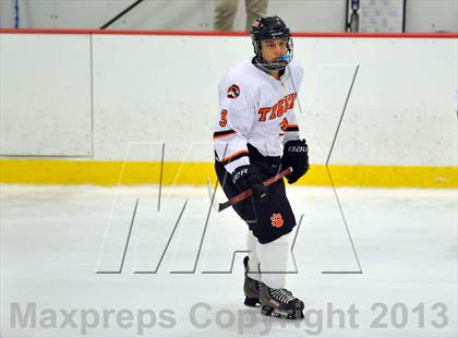 Thumbnail 2 in White Plains vs New Rochelle (Section 1 Division I Quarterfinal) photogallery.