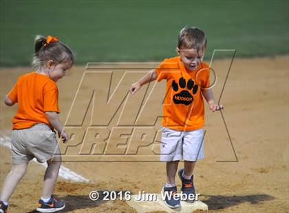 Thumbnail 3 in Ridgewood @ Zephyrhills photogallery.