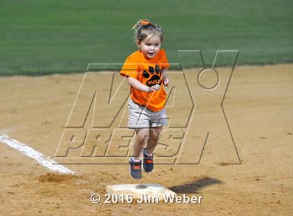 Thumbnail 1 in Ridgewood @ Zephyrhills photogallery.