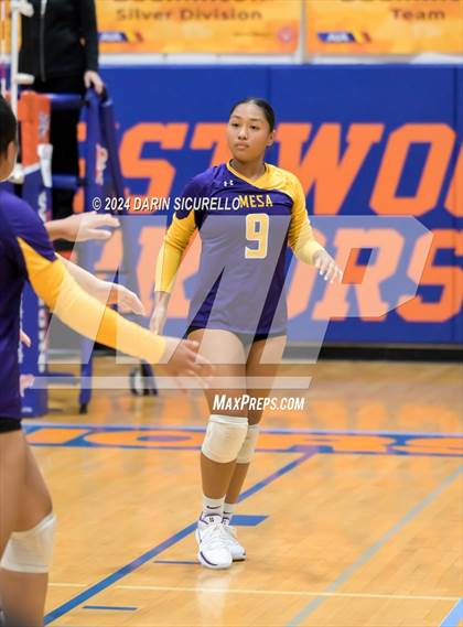 Thumbnail 3 in Desert Vista vs. Mesa (Westwood Tournament) photogallery.