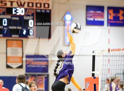 Thumbnail 1 in Desert Vista vs. Mesa (Westwood Tournament) photogallery.