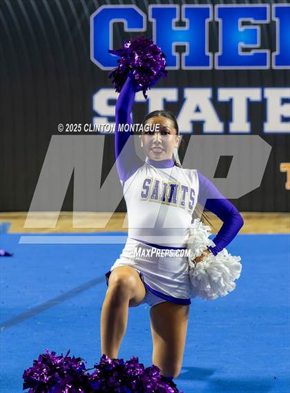 Thumbnail 3 in Notre Dame Prep - Cheer (AIA Division III Final) photogallery.