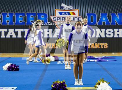 Thumbnail 2 in Notre Dame Prep - Cheer (AIA Division III Final) photogallery.