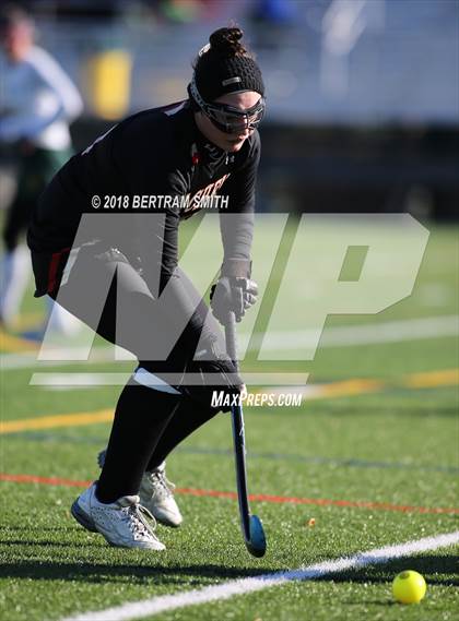 Thumbnail 3 in Williamsville North vs. Sachem East (NYSPHSAA Class A Semifinal) photogallery.