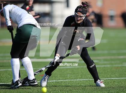 Thumbnail 3 in Williamsville North vs. Sachem East (NYSPHSAA Class A Semifinal) photogallery.