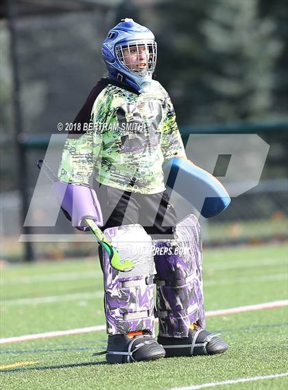 Thumbnail 3 in Williamsville North vs. Sachem East (NYSPHSAA Class A Semifinal) photogallery.