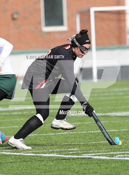 Thumbnail 3 in Williamsville North vs. Sachem East (NYSPHSAA Class A Semifinal) photogallery.