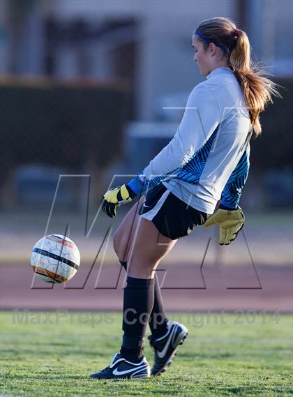 Thumbnail 2 in Millikan @ Woodrow Wilson photogallery.
