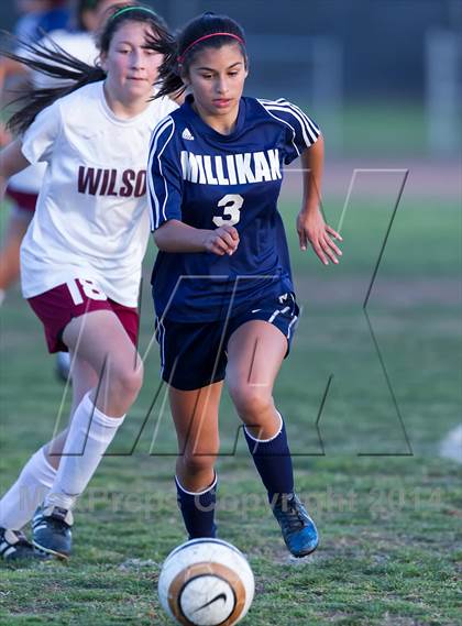 Thumbnail 2 in Millikan @ Woodrow Wilson photogallery.