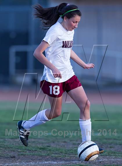 Thumbnail 3 in Millikan @ Woodrow Wilson photogallery.