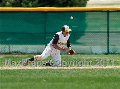 Thumbnail 3 in Palmer @ Doherty photogallery.