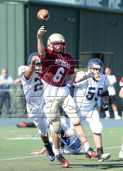 Thumbnail 1 in Cardinal Newman @ Marin Catholic  photogallery.