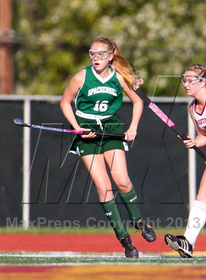 Thumbnail 2 in  Spackenkill @ Kingston photogallery.