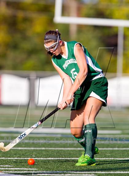 Thumbnail 2 in  Spackenkill @ Kingston photogallery.