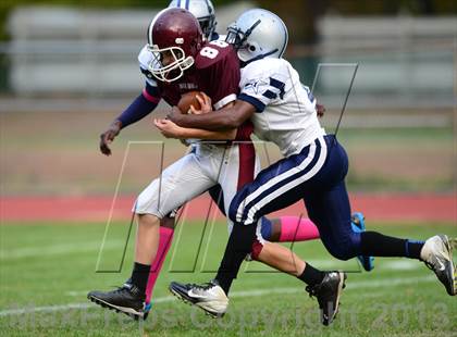 Thumbnail 2 in Hillhouse @ North Haven photogallery.