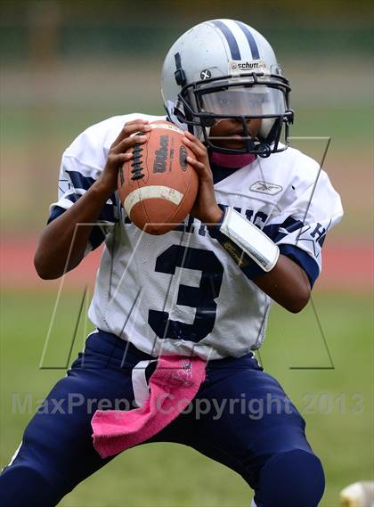 Thumbnail 3 in Hillhouse @ North Haven photogallery.