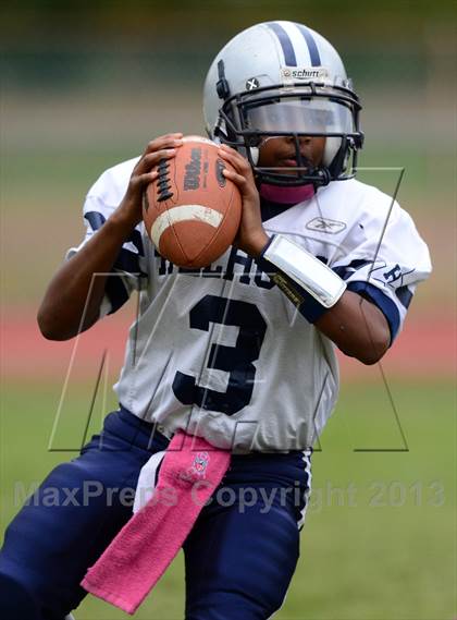 Thumbnail 2 in Hillhouse @ North Haven photogallery.