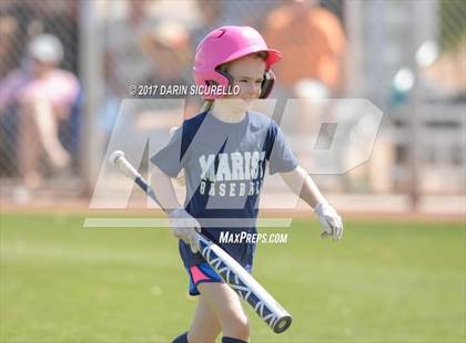 Thumbnail 3 in Niwot vs. Marist (Coach Bob Invitational)  photogallery.