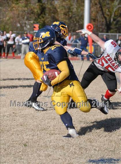 Thumbnail 1 in Triad @ Marion (IHSA Class 5A Playoffs - First Round) photogallery.
