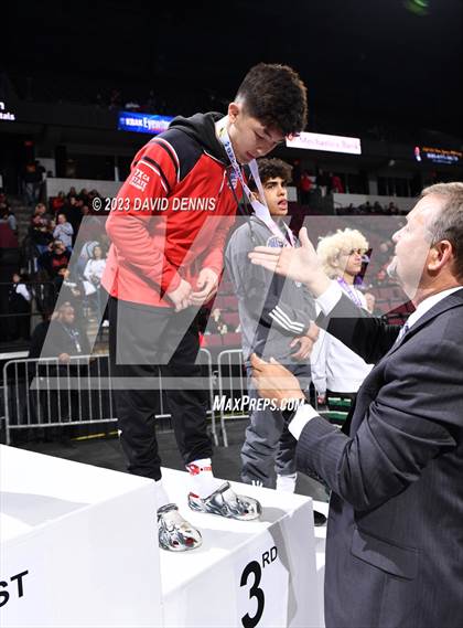 Thumbnail 1 in CIF State Boys Wrestling Championships (Podium Awards) photogallery.