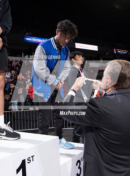 Thumbnail 3 in CIF State Boys Wrestling Championships (Podium Awards) photogallery.