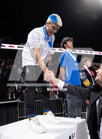 Thumbnail 3 in CIF State Boys Wrestling Championships (Podium Awards) photogallery.