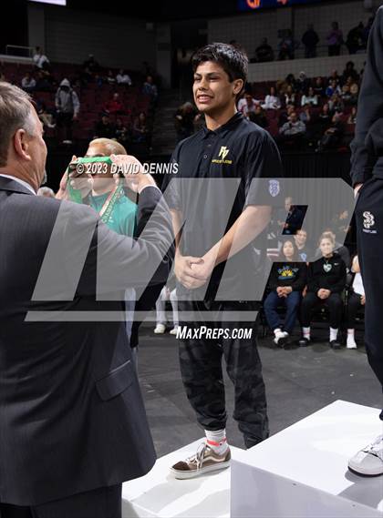 Thumbnail 3 in CIF State Boys Wrestling Championships (Podium Awards) photogallery.