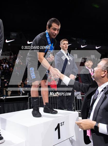 Thumbnail 1 in CIF State Boys Wrestling Championships (Podium Awards) photogallery.