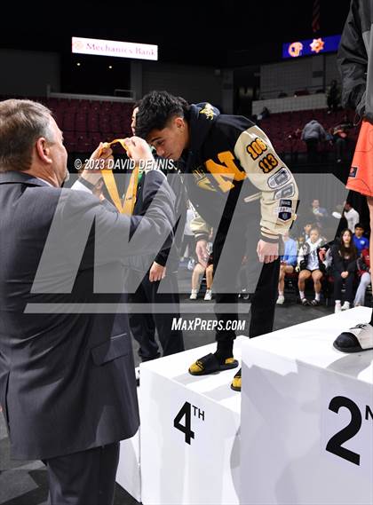 Thumbnail 1 in CIF State Boys Wrestling Championships (Podium Awards) photogallery.