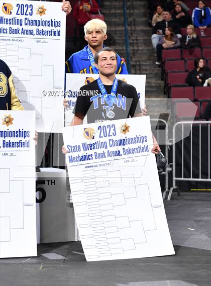 Thumbnail 2 in CIF State Boys Wrestling Championships (Podium Awards) photogallery.
