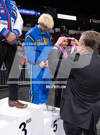 Thumbnail 2 in CIF State Boys Wrestling Championships (Podium Awards) photogallery.