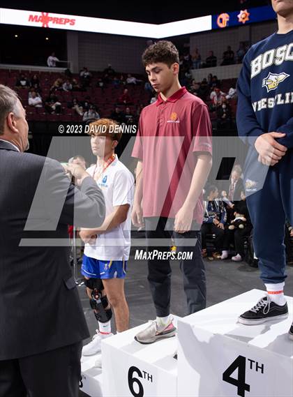Thumbnail 3 in CIF State Boys Wrestling Championships (Podium Awards) photogallery.