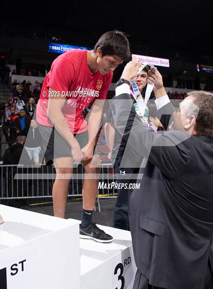Thumbnail 1 in CIF State Boys Wrestling Championships (Podium Awards) photogallery.