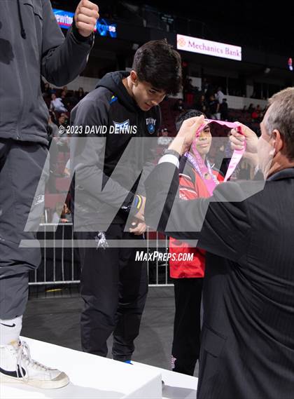 Thumbnail 1 in CIF State Boys Wrestling Championships (Podium Awards) photogallery.