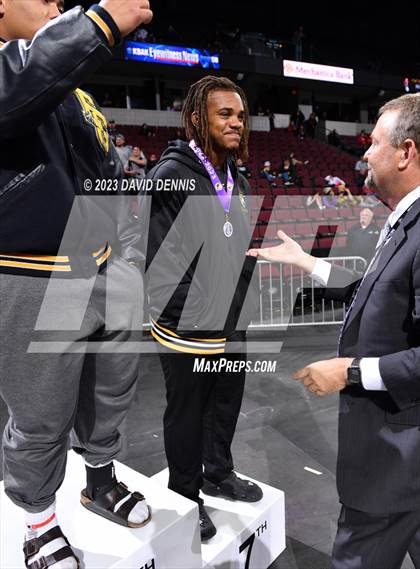 Thumbnail 1 in CIF State Boys Wrestling Championships (Podium Awards) photogallery.