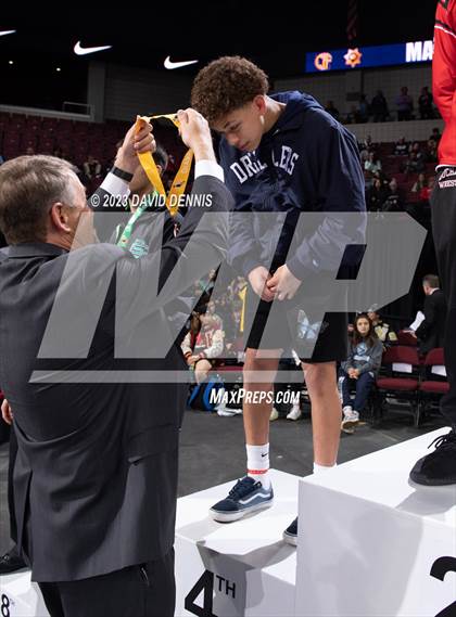 Thumbnail 1 in CIF State Boys Wrestling Championships (Podium Awards) photogallery.