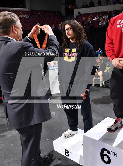 Thumbnail 1 in CIF State Boys Wrestling Championships (Podium Awards) photogallery.